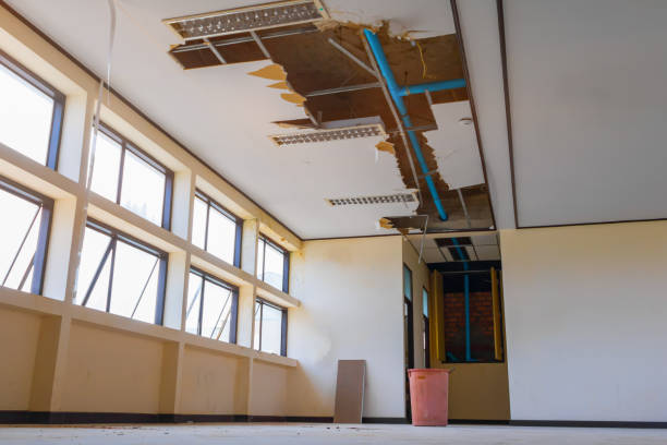 Best Flooded house restoration  in Hudson, WI