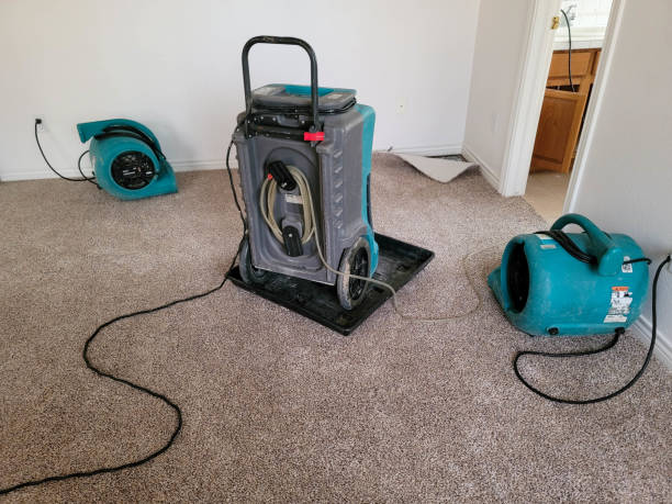 Best Water damage restoration near me  in Hudson, WI