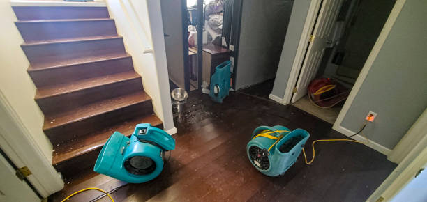 Best Water damage restoration near me  in Hudson, WI
