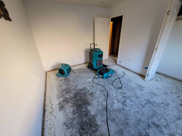 Best Fire Damage Restoration  in Hudson, WI