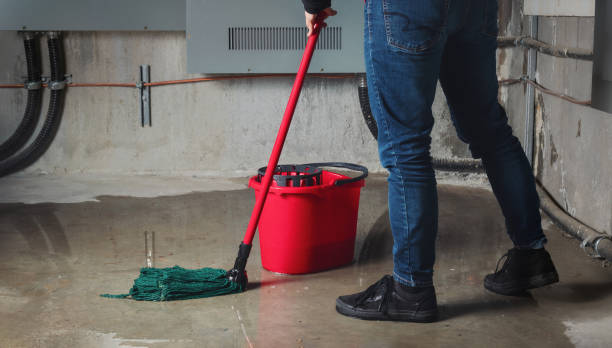 Best Water damage restoration experts  in Hudson, WI
