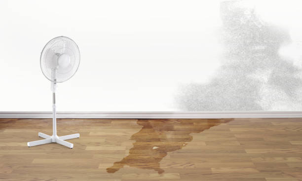 Best Water damage cleanup near me  in Hudson, WI