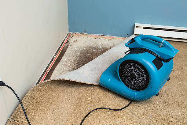 Best Residential water damage restoration  in Hudson, WI